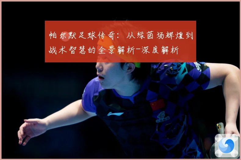 帕尔默足球传奇：从绿茵场辉煌到战术智慧的全景解析-深度解析