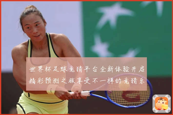 世界杯足球竞猜平台全新体验开启精彩预测之旅享受不一样的竞猜乐数据研判-深度解析